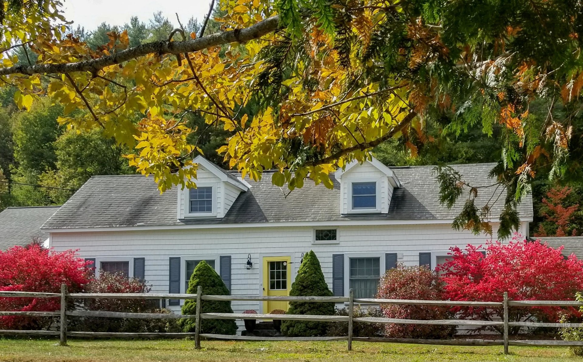 Pine Meadow farmhouse in autumn
